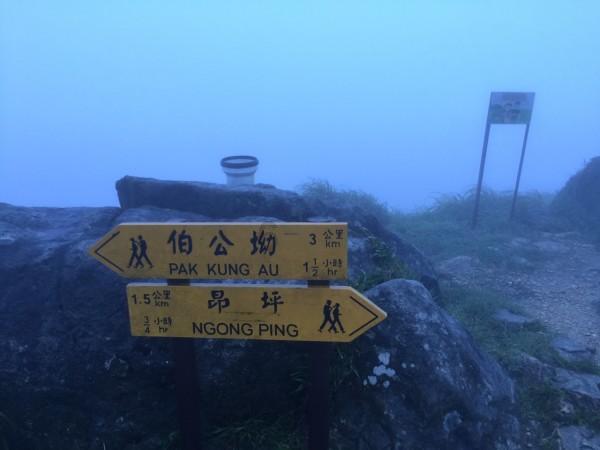 如何与母亲更好相处?-知识星球平台,轻松获取优质知识!